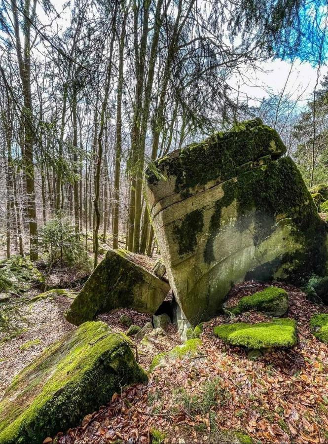 Apartament Blick Punkt Tann  Zewnętrze zdjęcie